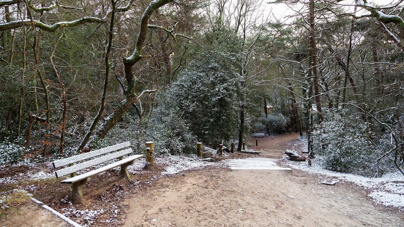 Winterwandeling rond de Bosberg op 23 februari