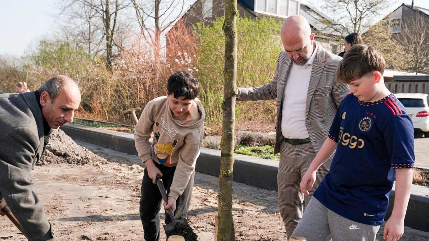 Boomplantfeest in wijk krakeel Hoogeveen; van verharding naar verkoeling