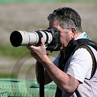 Gino Wiemann